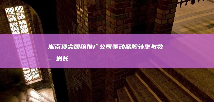 湖南顶尖网络推广公司：驱动品牌转型与数字增长的策略大师