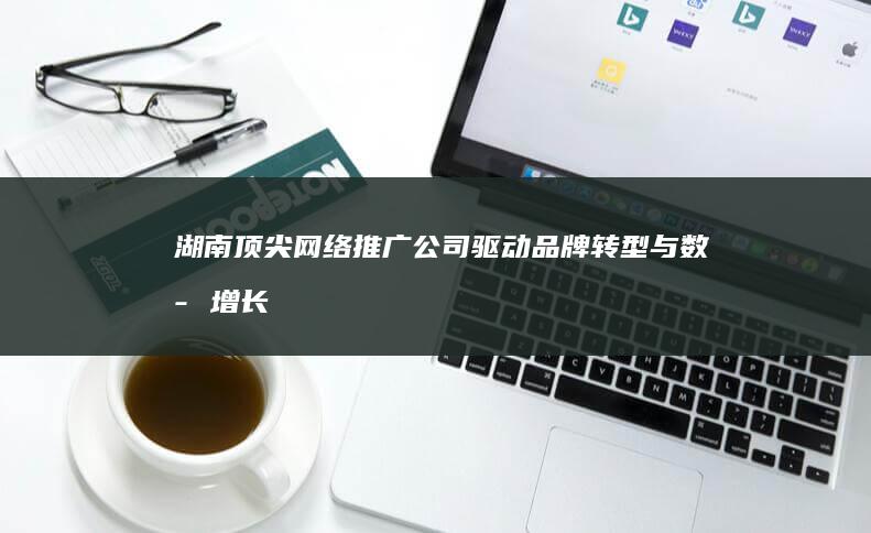 湖南顶尖网络推广公司：驱动品牌转型与数字增长的策略大师